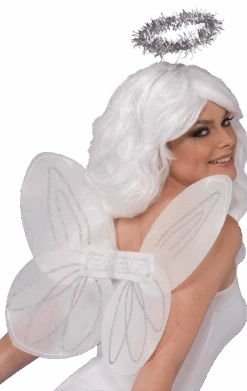 Angel Wings And Halo Set