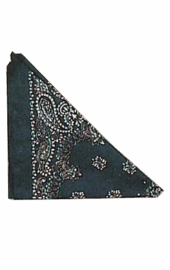 Blue Bandana Accessory