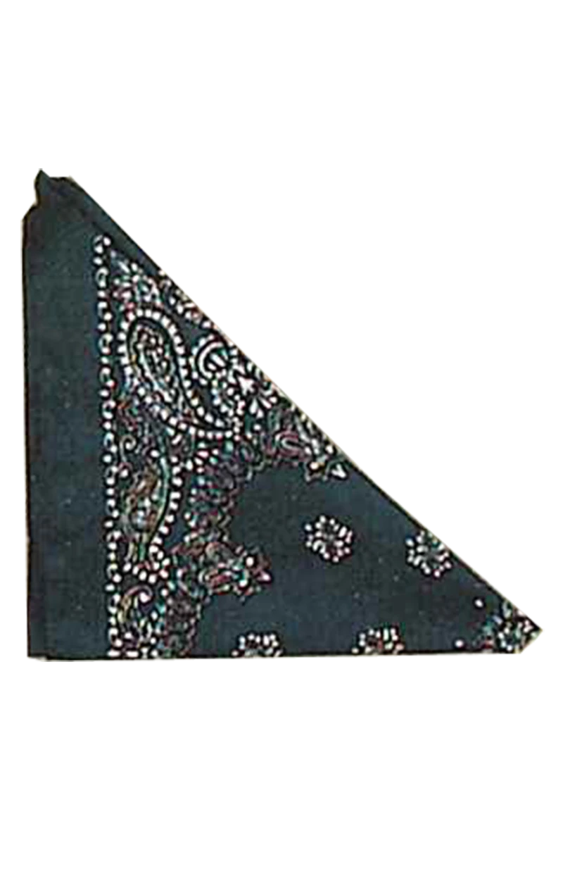 Blue Bandana Accessory 1 Blue Bandana Accessory