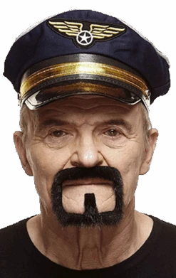 GENERIC Goatee Beard