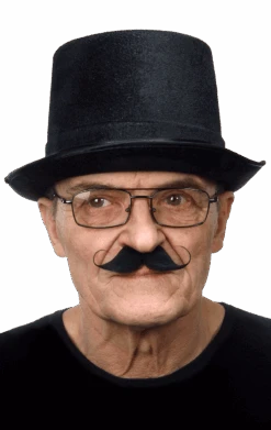 Edwardian Moustache Accessory