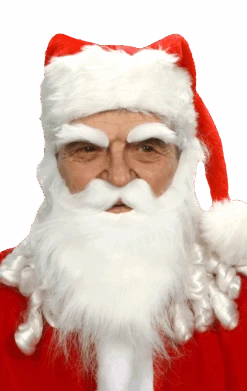 Santa Beard And Eyebrows Set