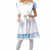 Womens Alice In Wonderland Costume