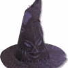 Harry Potter Sorting Hat