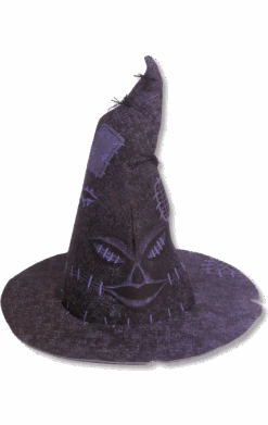 Harry Potter Sorting Hat