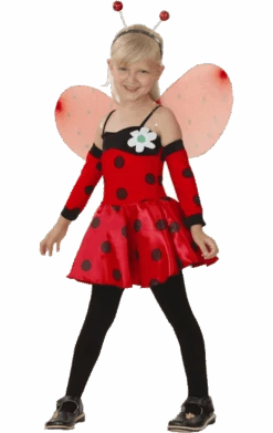 Kids Ladybird Costume