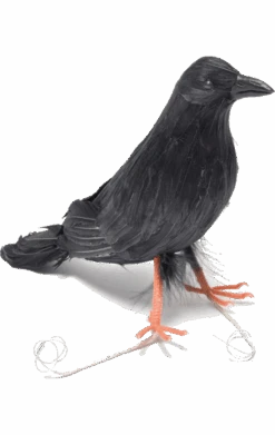 Black Crow Prop Accessory