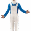 Blue Gnome Fancy Dress Costume