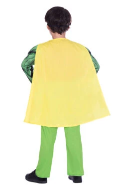 GENERIC Childrens Classic Robin Costume 5 GENERIC Childrens Classic Robin Costume -Halloween Costume Shop 00030436a02