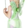 Smiffys Green Butterfly Wings And Wand