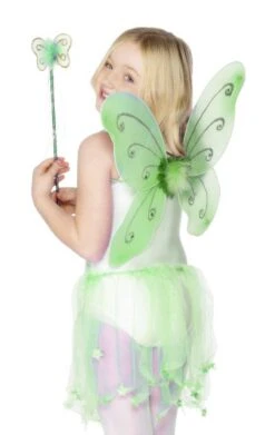 Smiffys Green Butterfly Wings And Wand