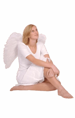 Boland White Angel Wings - Large
