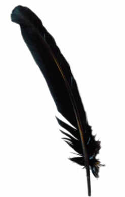 GENERIC Black Turkey Feather
