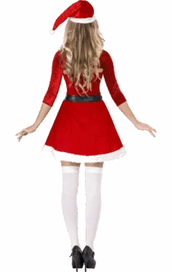 Smiffys Womens Santa Babe Costume -Halloween Costume Shop 00060825a02