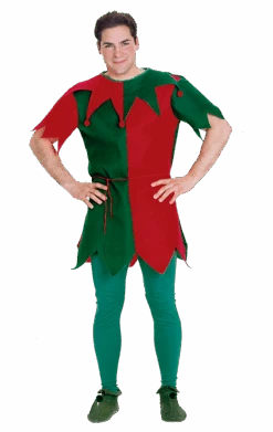 Mens Economy Elf Tunic Costume