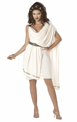 Deluxe Classic Toga Costume