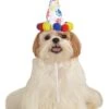 Pawty Animal Dog Hat