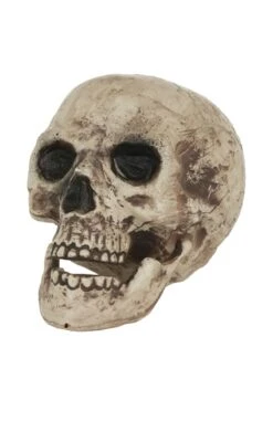 Skull Halloween Decoration